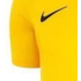 Nike BV6708719 M Nk Dry Park Vıı Jsy Ss Erkek T-Shirt