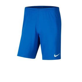 Nike BV6855-463 Mavi Erkek Şort