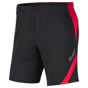 Nike BV6924-067 Erkek Şort