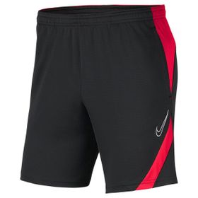 Nike BV6924-067 Erkek Şort