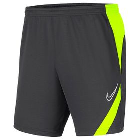 Nike BV6924-068 Erkek Şort