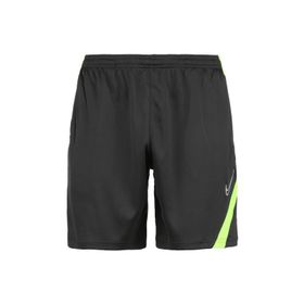 Nike BV6924-068 Erkek Şort