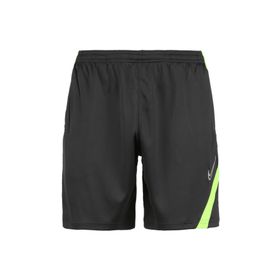 Nike BV6924-068 Erkek Şort