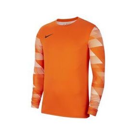 Nike CJ6066 M Nk Dry Park IV Erkek Futbol Kaleci Forması