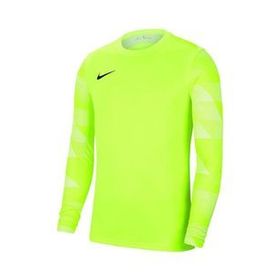 Nike CJ6066 M Nk Dry Park IV Erkek Futbol Kaleci Forması