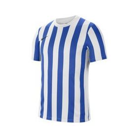 Nike CW3813-102 Dri-Fit Striped Division IV Beyaz Spor Erkek T-Shirt
