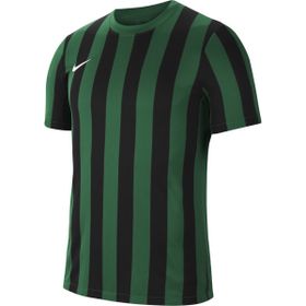 Nike CW3813-302 Dri-Fit Striped Division IV Erkek Yeşil Futbol Forma