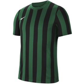 Nike CW3813-302 Dri-Fit Striped Division IV Erkek Yeşil Futbol Forma