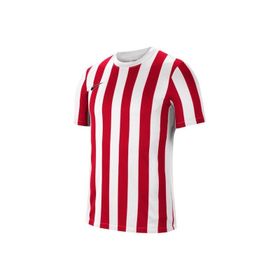 Nike CW3813 Striped Division Lv Jersey Ss Erkek Futbol Antrenman Spor Forması