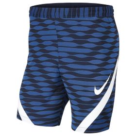 Nike CW5850-451 Mavi Erkek Şort