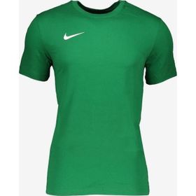 Nike CW6952-302 M Nk Df Park20 SS Tee Erkek Futbol Tişörtü