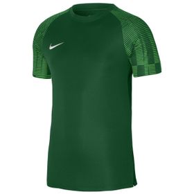 Nike DH8031-302 M Nk Df Academy Jsy Ss Erkek Yeşil Futbol Tişört