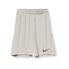 Nike Dry Park Lii Erkek Şortu