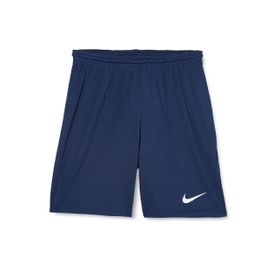 Nike Dry Park Lii Erkek Şortu