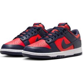 Nike Dunk Low Retro DV0833-601 Erkek Spor Ayakkabı