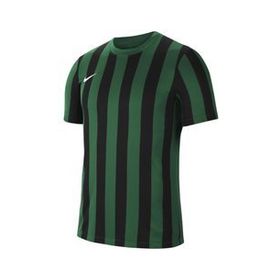 Nike Erkek M Nk Df Strp Dvsn İv Jsy Ss Erkek Yeşil Futbol Tişört CW3813-302