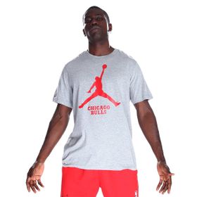 Nike FD1460-063 Chicago Bulls NBA Erkek Gri Basketbol T-Shirt