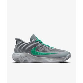Nike FQ3680-002 Giannis Immortality 4 Gri Unisex Basketbol Ayakkabısı