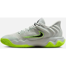 Nike FQ3680-007 Gri Giannis Immortality 4 Erkek Basketbol Ayakkabısı