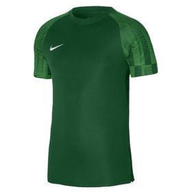 Nike M Nk Df Academy Jsy Ss Erkek Forması