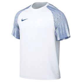 Nike M Nk Df Academy Jsy Ss Erkek Forması