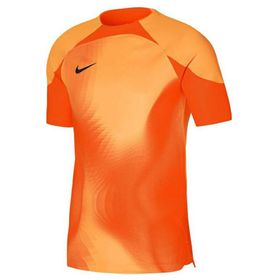 Nike M Nk Dfadv Gardien iv Gk Jsyss Erkek Futbol Kaleci Forması