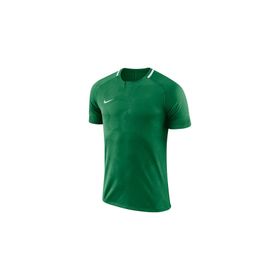 Nike Yeşil M Dry Chalng ii Jsy Ss Erkek Futbol Forması