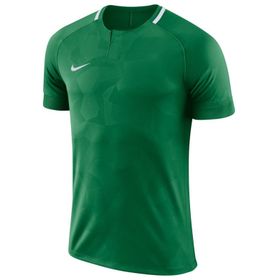 Nike Yeşil M Dry Chalng ii Jsy Ss Erkek Futbol Forması