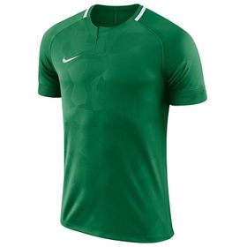 Nike Yeşil M Dry Chalng ii Jsy Ss Erkek Futbol Forması