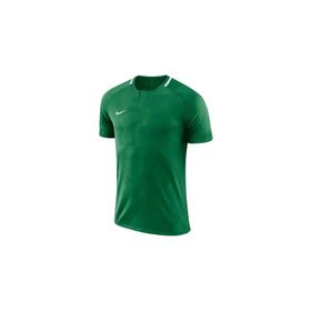 Nike Yeşil M Dry Chalng ii Jsy Ss Erkek Futbol Forması