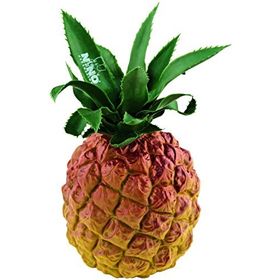 Nino 595 Ananas Görünümlü Shaker