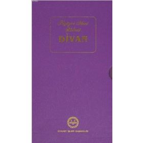 Niyazi-i Mısri Halveti Divanı - Mustafa Tatcı