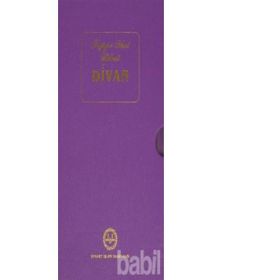 Niyazi-i Mısri Halveti Divanı - Mustafa Tatcı