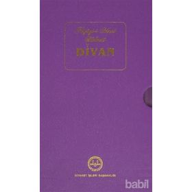 Niyazi-i Mısri Halveti Divanı - Mustafa Tatcı