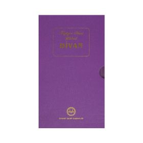 Niyazi-i Mısri Halveti Divanı - Mustafa Tatcı