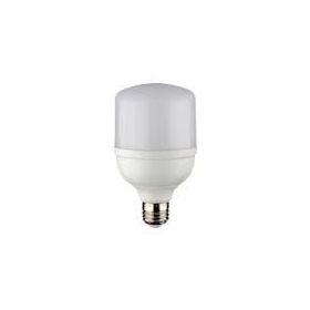 Noas 20W 6500K Beyaz Işık Led Torch Ampul