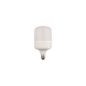 Noas YL95-2001 20W E27 6500K Beyaz Led Torch Ampul