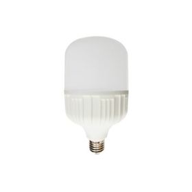 Noas YL95-3001 30W E27 6500K Beyaz Led Torch Ampul