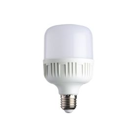 Noas YL95-4001 40 Watt Beyaz Işık Torch Ampul