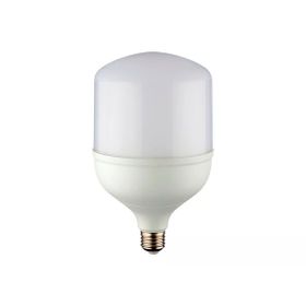 Noas YL95-5001 50 Watt Beyaz Işık Torch Ampul