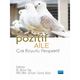 Nobel Akademik Yayıncılık Pozitif Aile Çok Boyutlu Perspektif