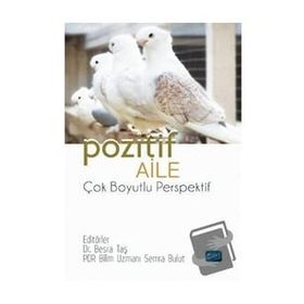 Nobel Akademik Yayıncılık Pozitif Aile Çok Boyutlu Perspektif