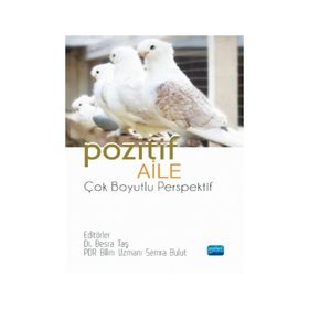 Nobel Akademik Yayıncılık Pozitif Aile Çok Boyutlu Perspektif