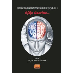 Nobel Akademik Yayıncılık Yönetim ve Organizasyon Perspektifinden Kolluk Çalışmaları Ii Öfke Üzerine..