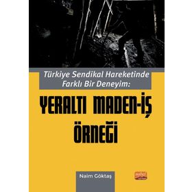 Nobel Bilimsel Eserler - Türkiye Sendikal Hareketinde Farklı Bir Deneyim: Yeraltı Maden - İş Örneği