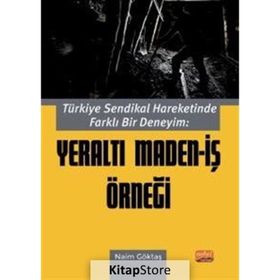 Nobel Bilimsel Eserler - Türkiye Sendikal Hareketinde Farklı Bir Deneyim: Yeraltı Maden - İş Örneği