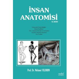 Nobel Tıp Kitabevleri İnsan Anatomisi 11. Baskı
