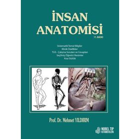 Nobel Tıp Kitabevleri İnsan Anatomisi 11. Baskı