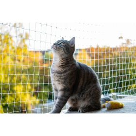 Nodes 2WSIWL Beyaz Kedi Çocuk Balkon Filesi