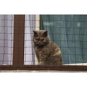 Nodes Siyah Çocuk Kedi Balkon Filesi